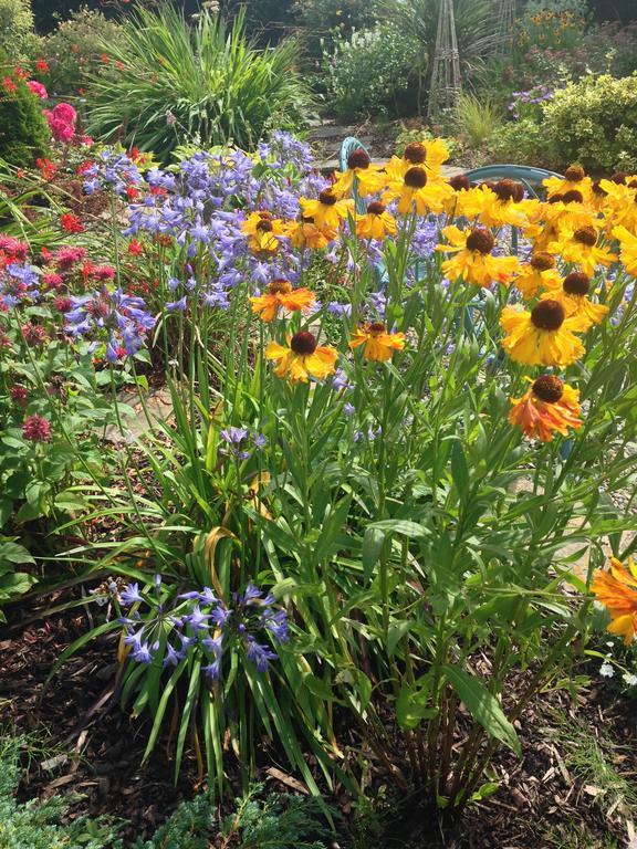 Apartments At Ballinsheen House & Gardens Лисдунварна Экстерьер фото